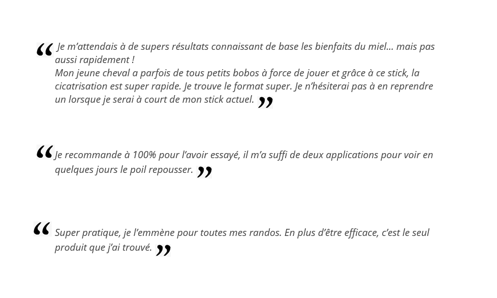 L'INSOLITE - STICK CICATRISANT