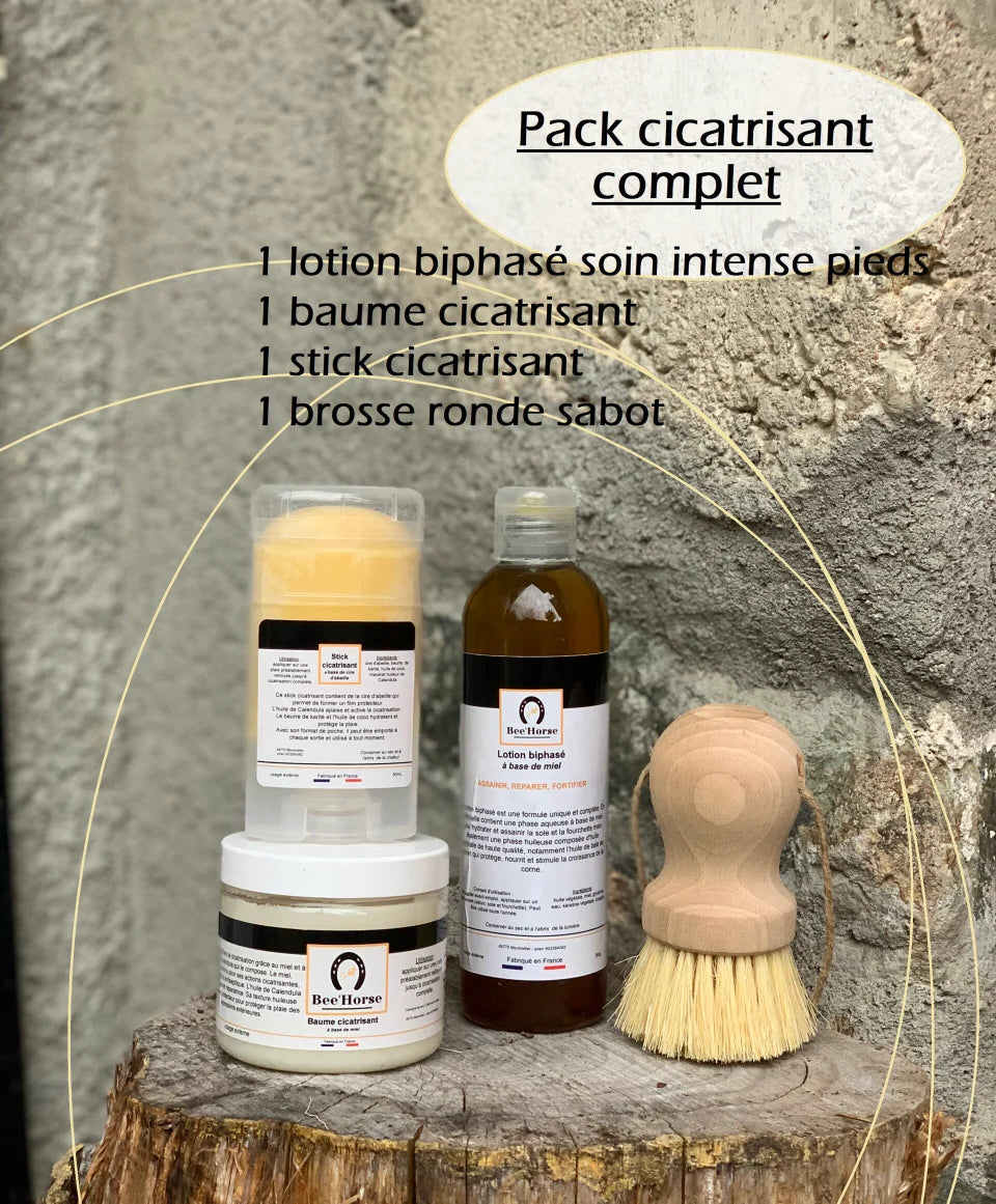 MAXI KIT CICATRISANT